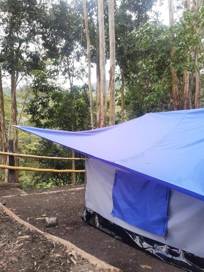 Campsite Refugio Naranjales