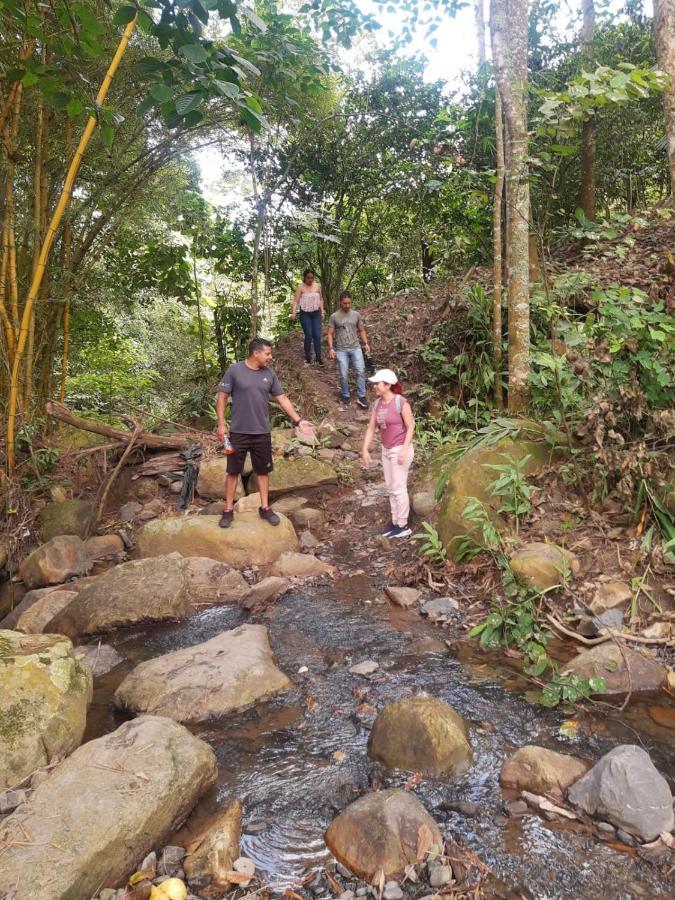 Refugio Naranjales