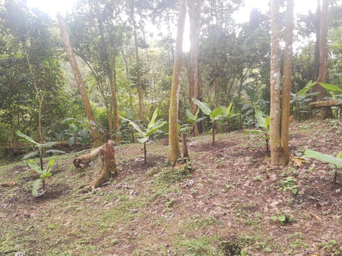 Refugio Naranjales Campsite
