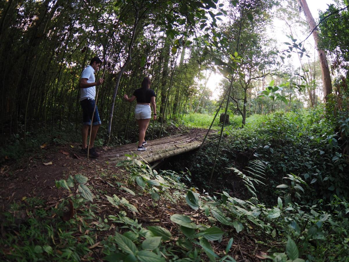 Campsite Refugio Naranjales *