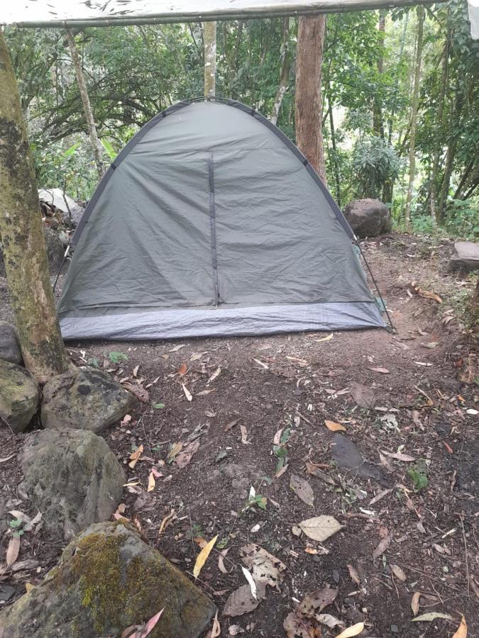 Refugio Naranjales Campsite El Colegio (Tolima)